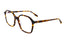 LT12 ALMA col.Yellow Tortoise